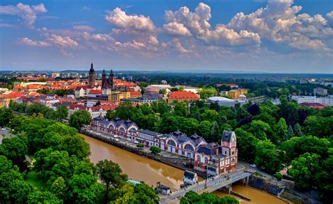 Hradec Kralove Prostitute