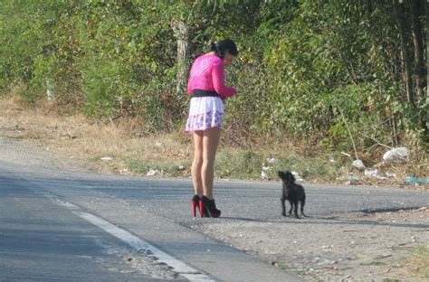 Oradea Prostitute