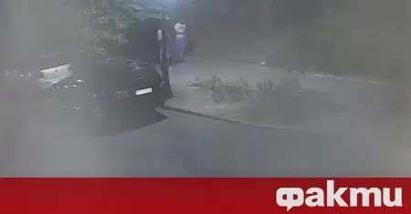 Stara Zagora Prostitute