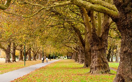 Christchurch Sex Dating