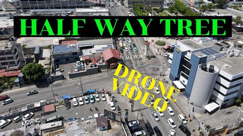 Half Way Tree Sex Dating