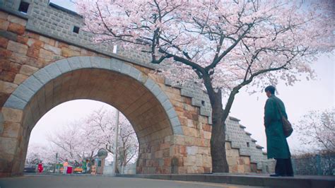 Suwon Sex Dating