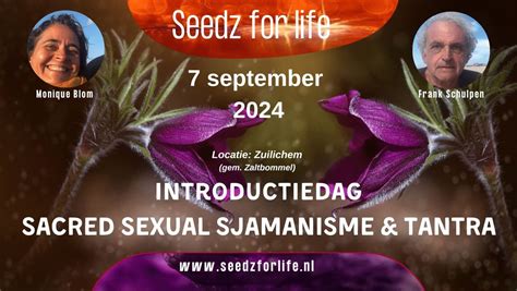 Aalst Sexual Massage