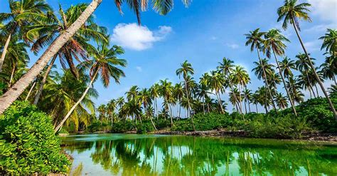 Hithadhoo Whore