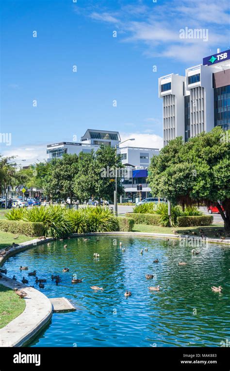 Palmerston North Whore